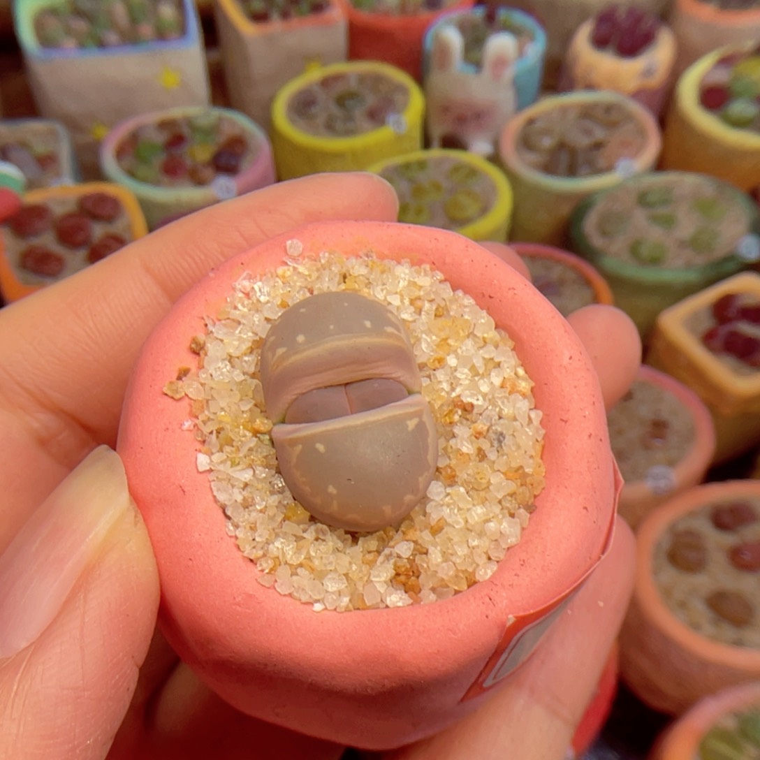 517。8888888888888888