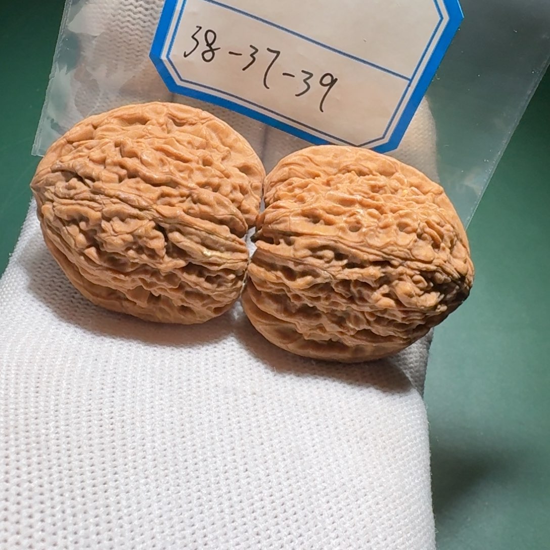 文玩核桃吊坠55号凹底黄线