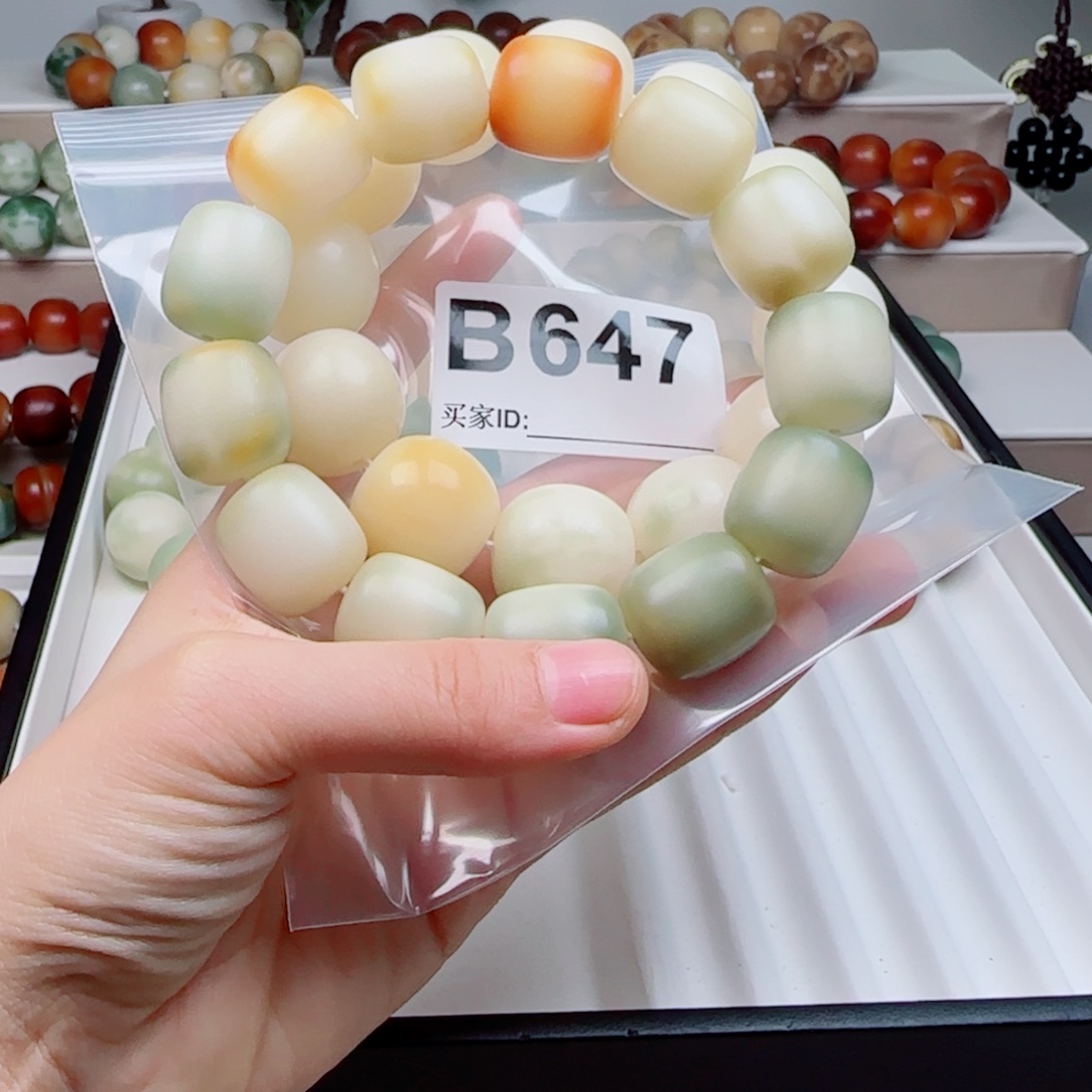 吊坠菩提根/象牙果菩提2.24