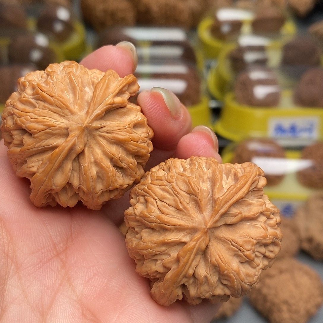 木质类文玩核桃苹果园