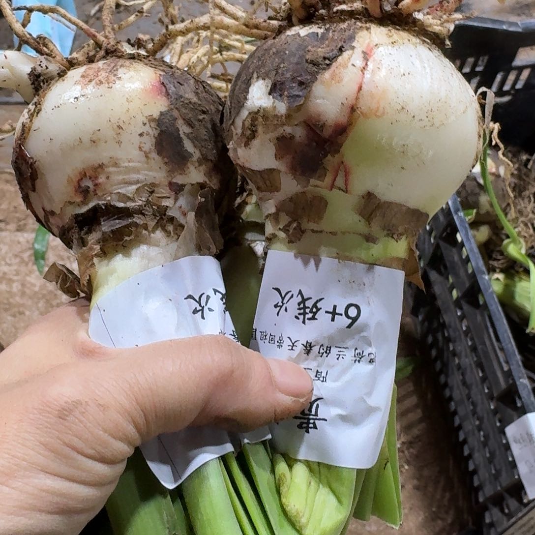 贵妇6+残次不包养护