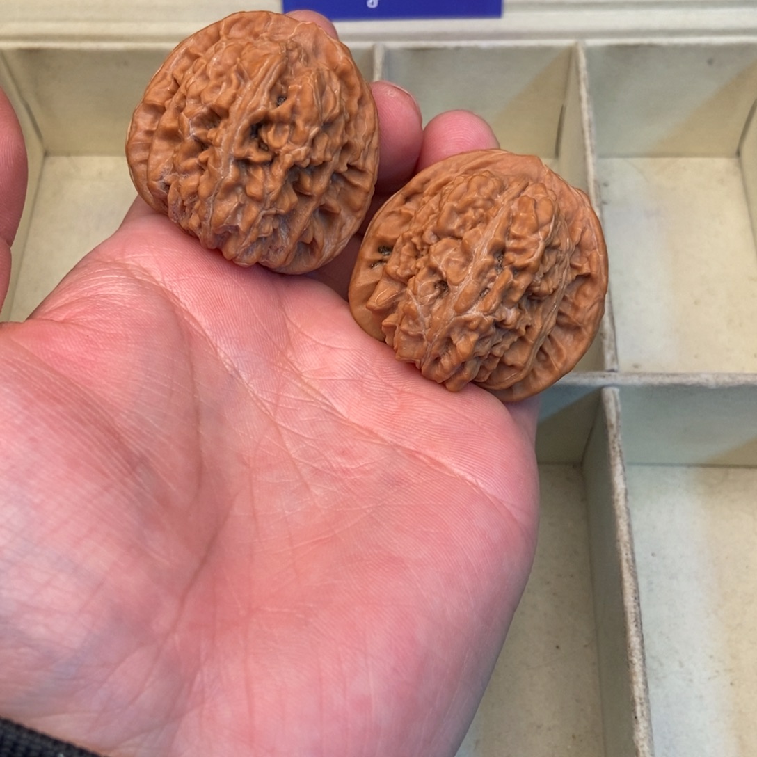 把件文玩核桃四座楼（42尺寸）9号