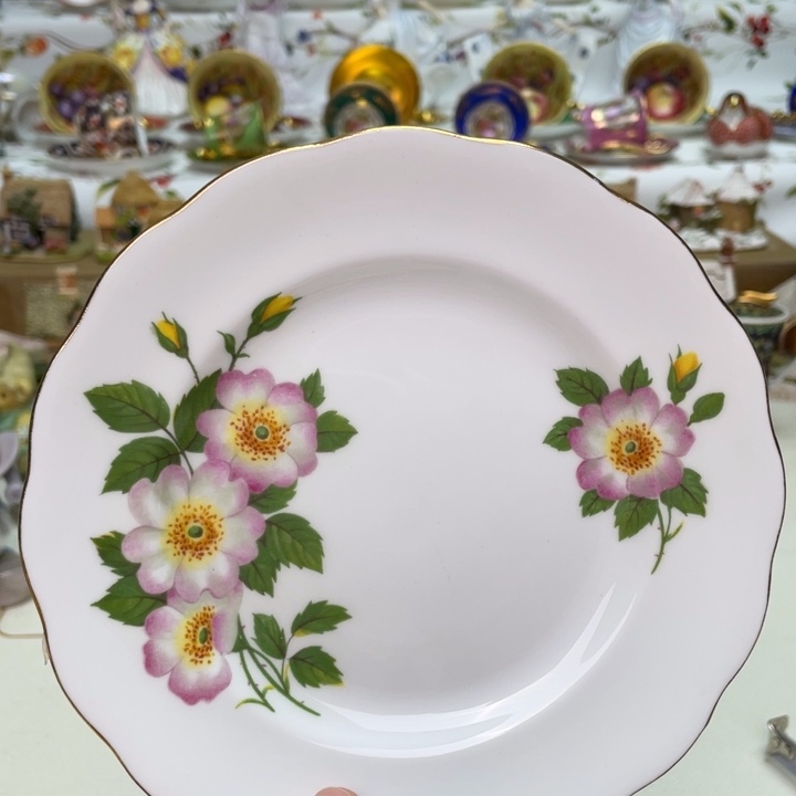 盘维多利亚欧洲中古