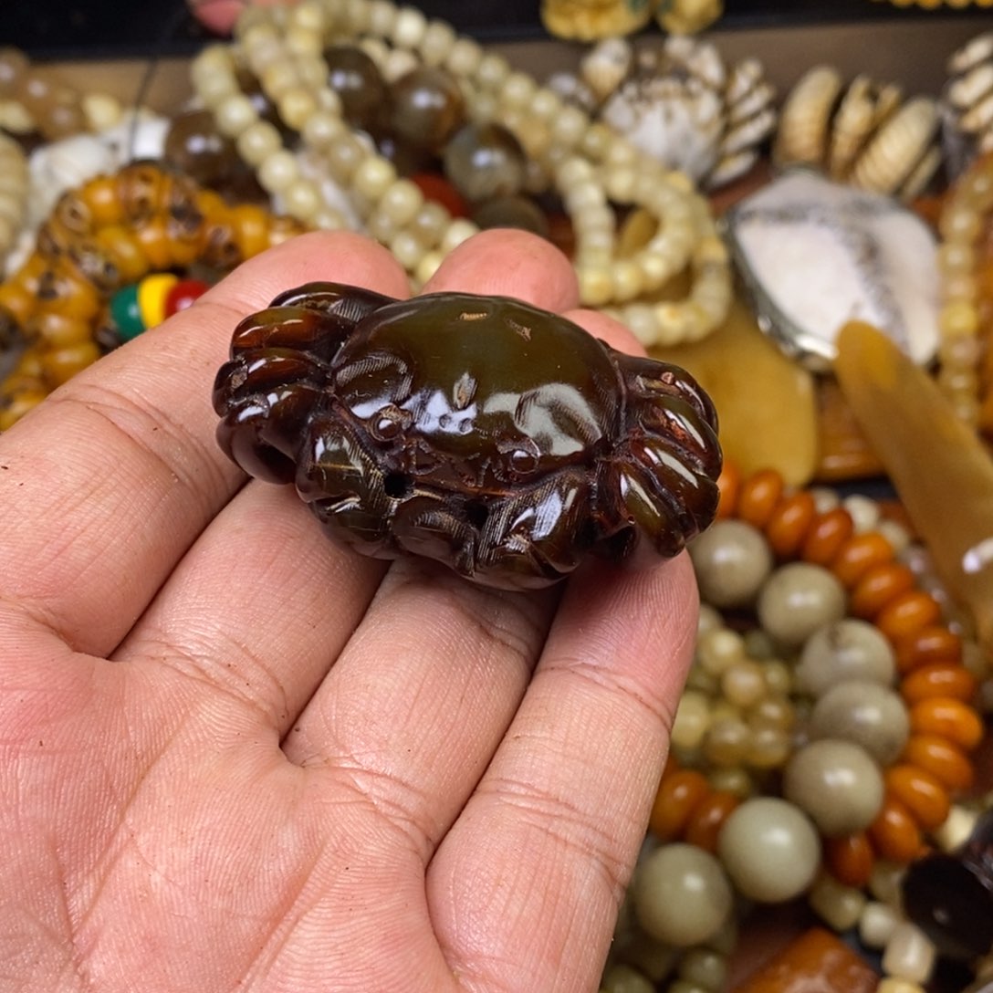 其他驼骨人工样子