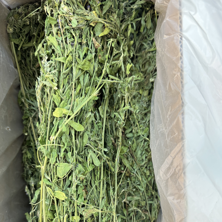 实拍紫花苜蓿草烘干幼兔兔粮饲料牧草适用于兔子龙猫荷兰猪干草