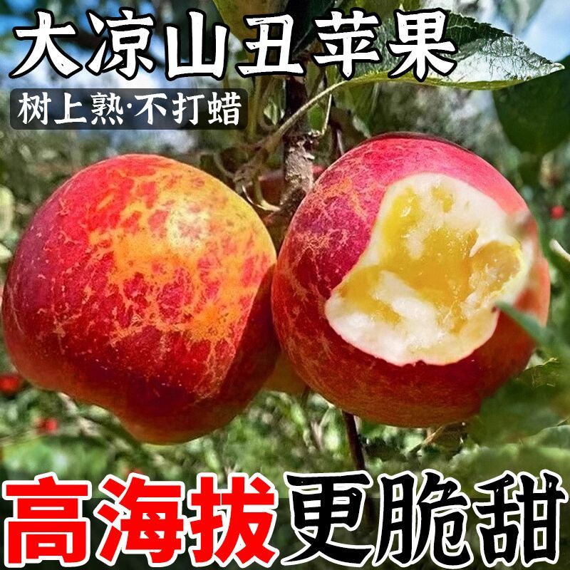 【小雪专属】正宗四川大凉山盐源糖心丑苹果 新鲜采摘