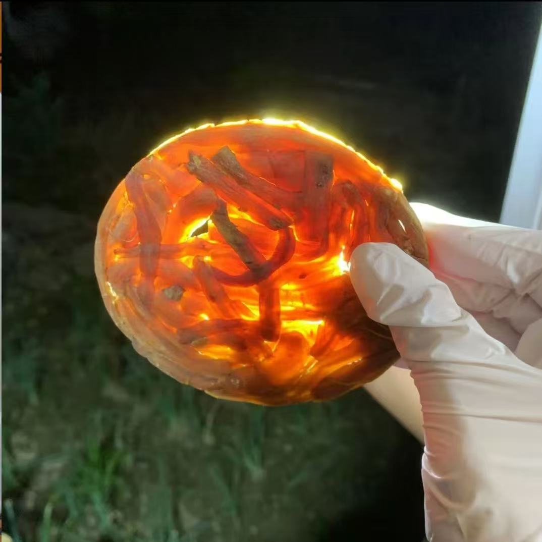 太极参、赶集人、土特产