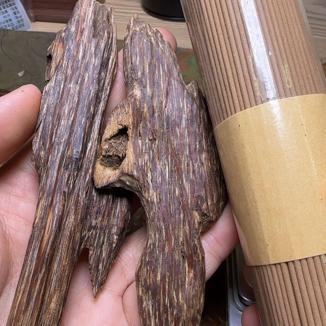 海南尖峰岭虫漏14克重福利