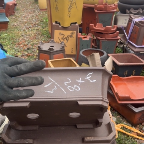 紫砂花盆紫砂花盆盆景盆栽