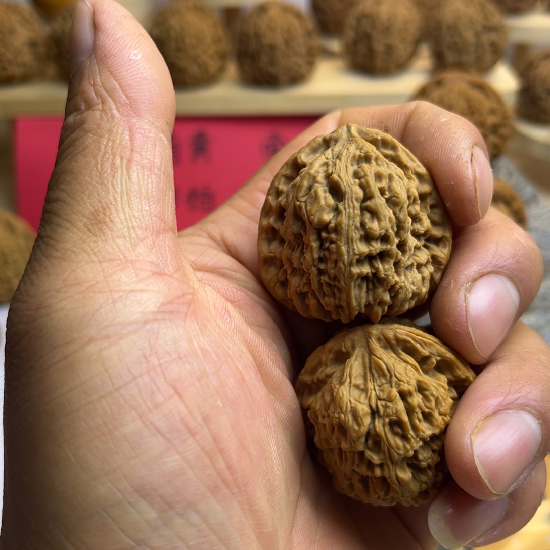 y***g核桃三角疆无休涿鹿