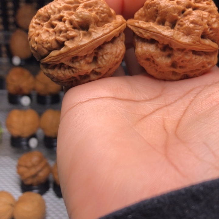 橄榄核吊坠44金蟾蛹