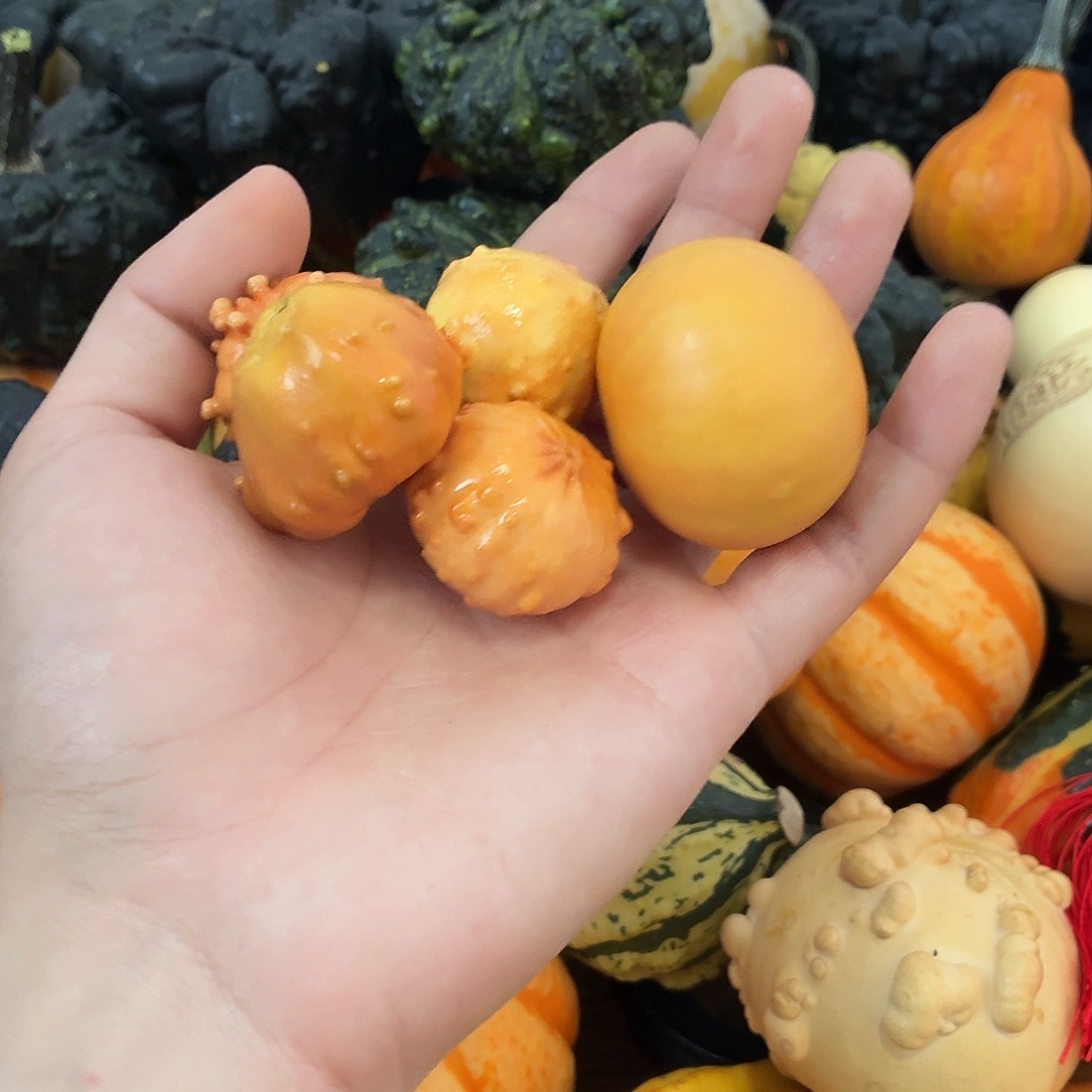 金***豆五个墨西哥文玩葫芦