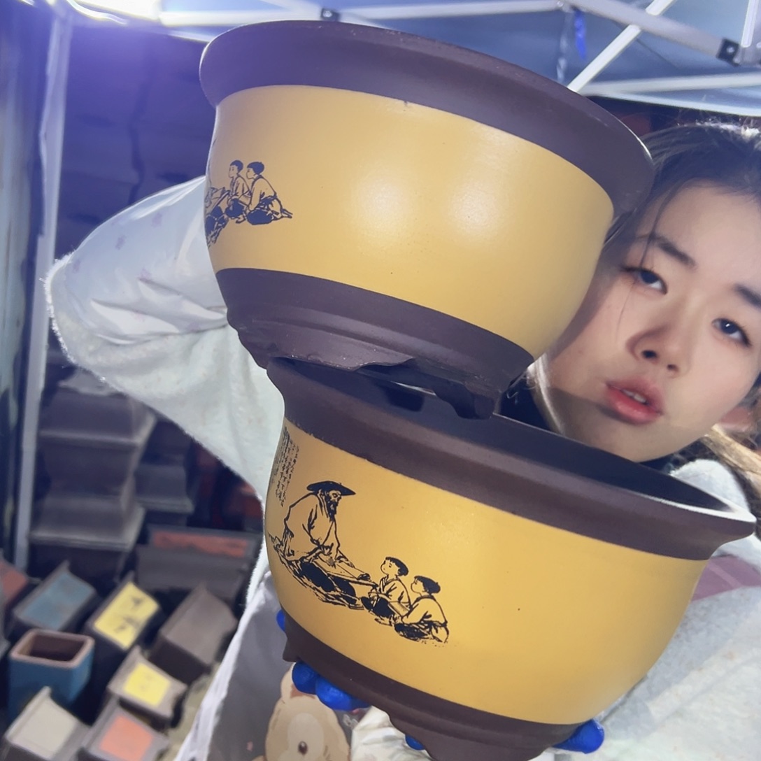 25+25黄色孔夫子三角金钟