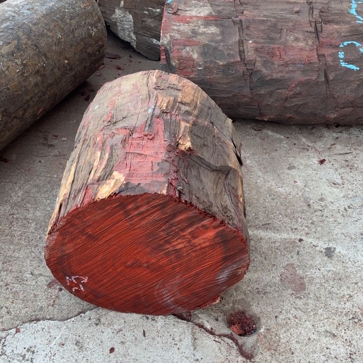 绒质赞比亚血檀57889999