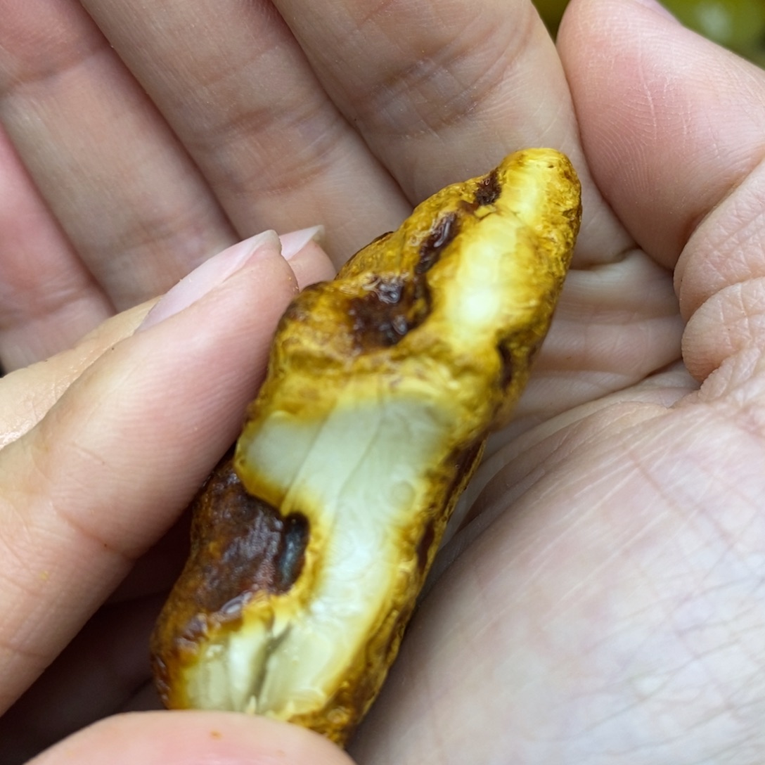 未镶嵌定制蜜蜡胖