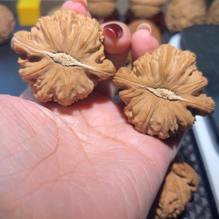 文玩核桃把件46卡姿兰白狮子