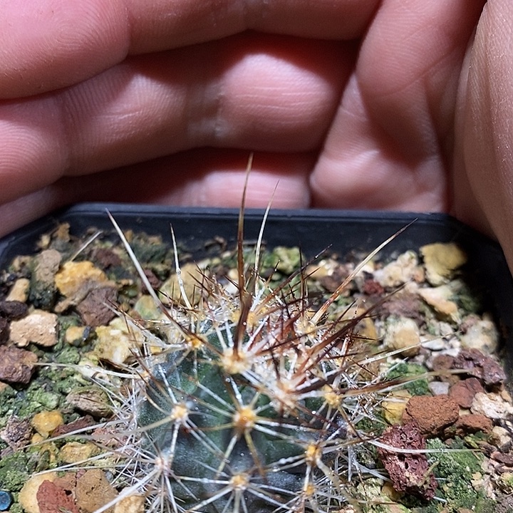 完美主义者勿拍吓121271