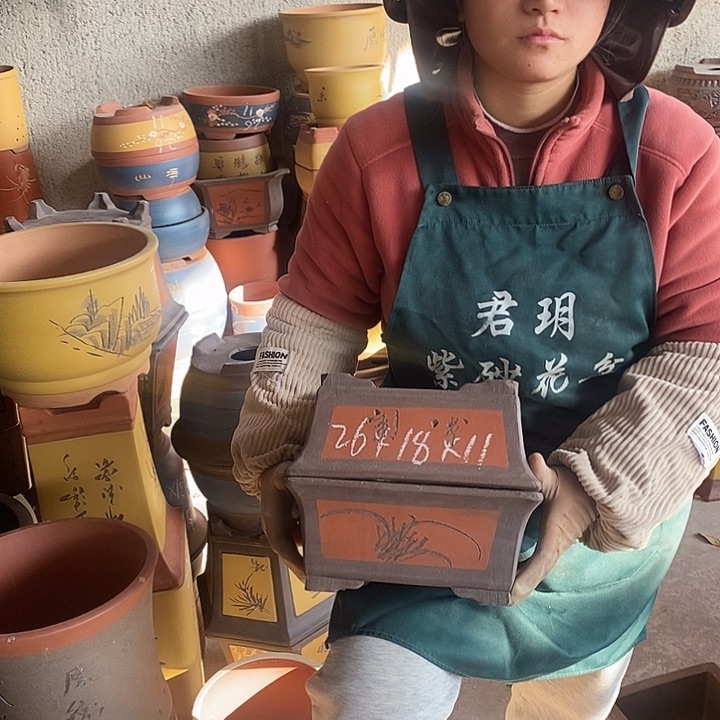 紫砂花盆盆栽花卉苗木种植