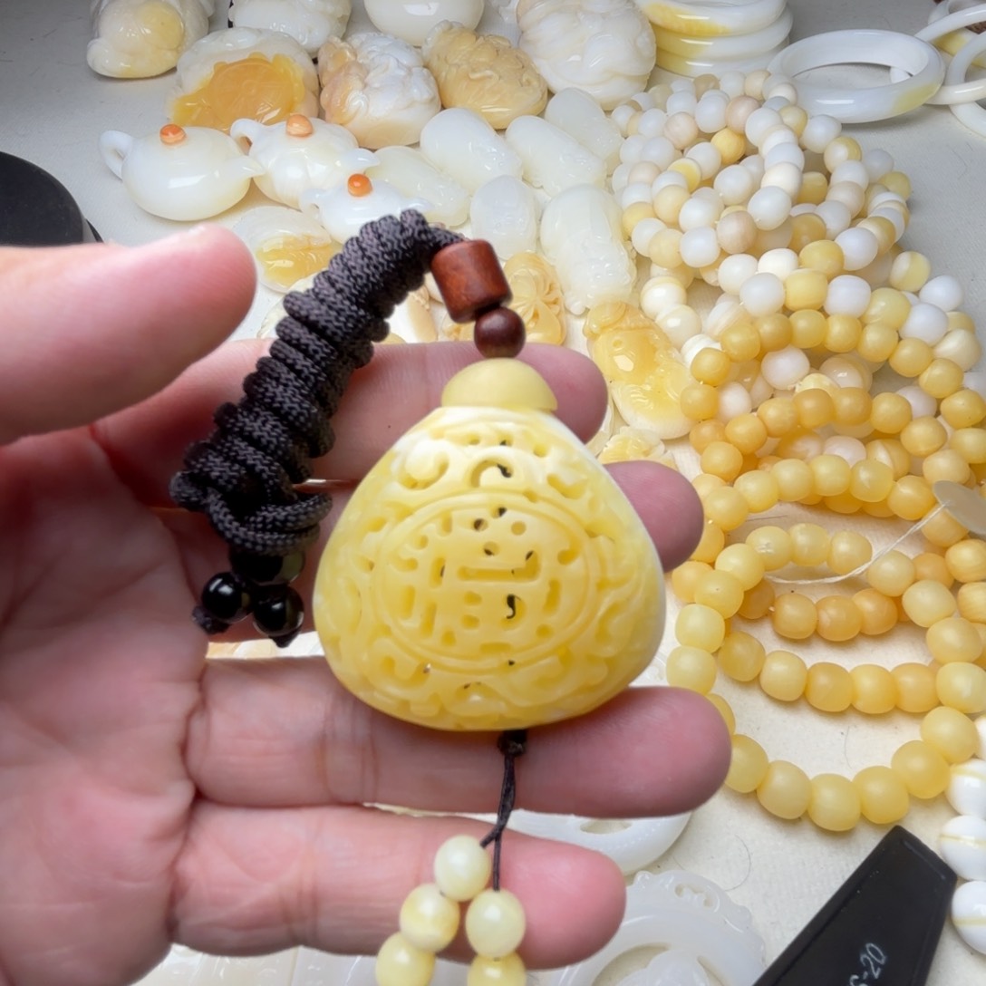 非金属贝壳✨**✨天然贝壳