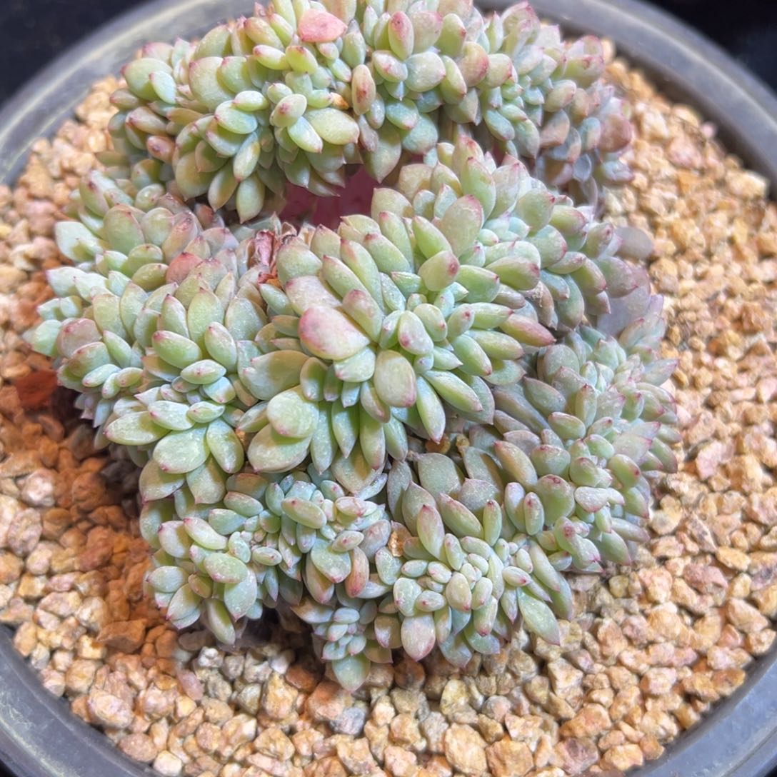 新年快乐 新年快乐