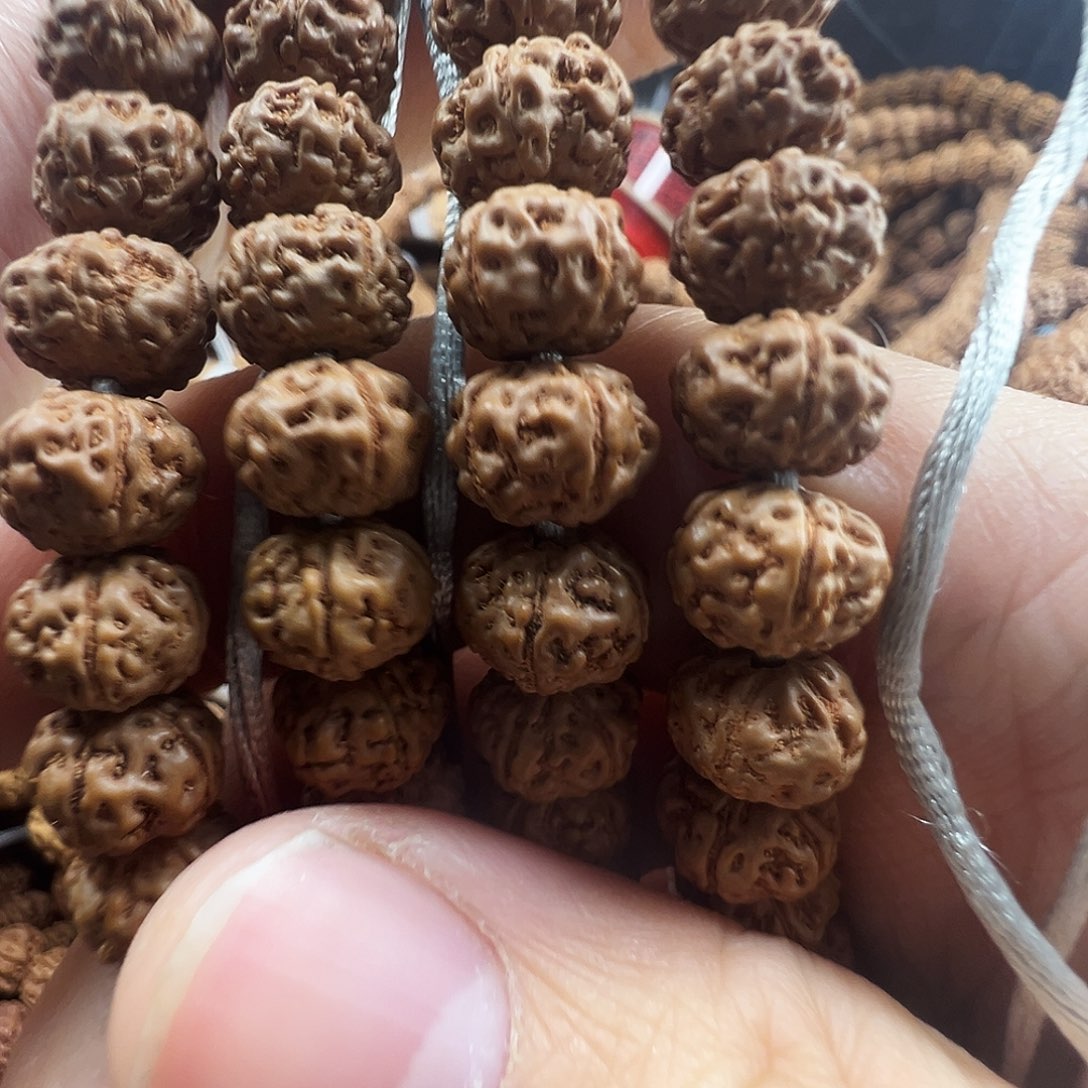 *****金刚菩提吊坠老树王9m矮桩两条