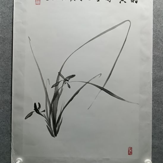 国画孟宪奎老师作品！
