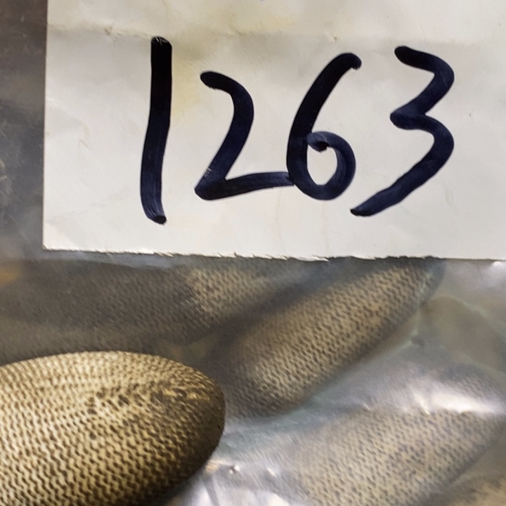 雨***晴娜娜文玩杂项专属链接