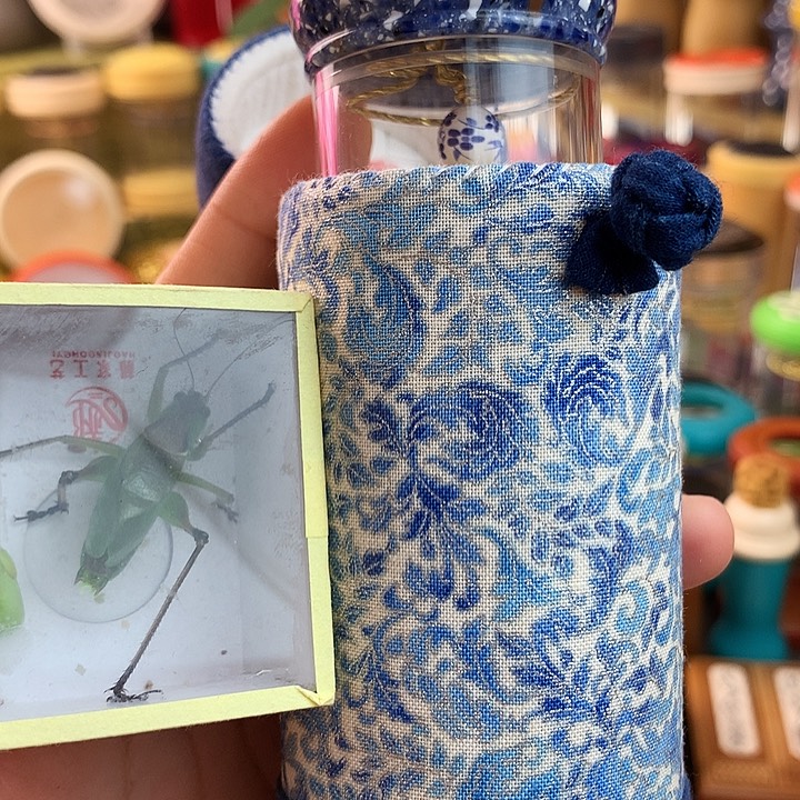 捣***糊带虫啊啊啊啊啊啊