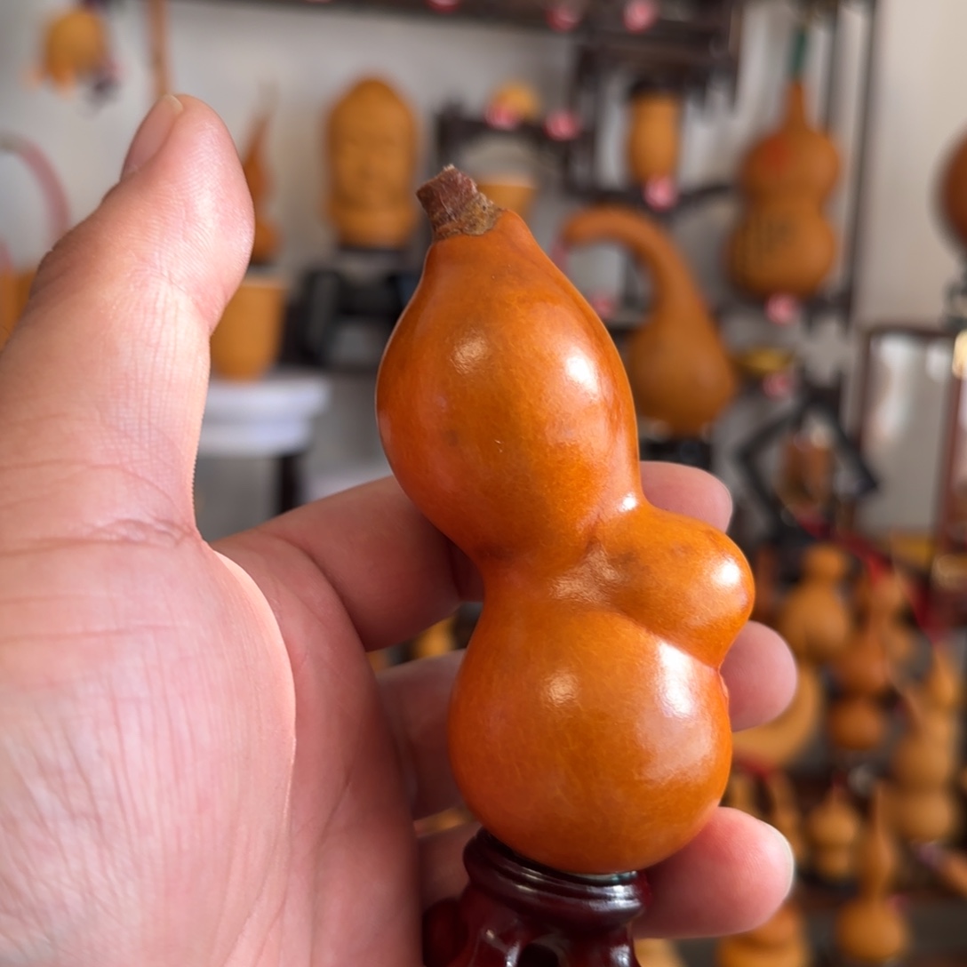 老皮厚皮怀抱子双胞胎
