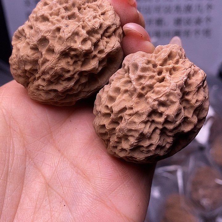 核桃云南野生铁核桃188号40mm