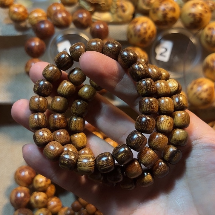 贡木巴布亚老型10x11火焰龙鳞