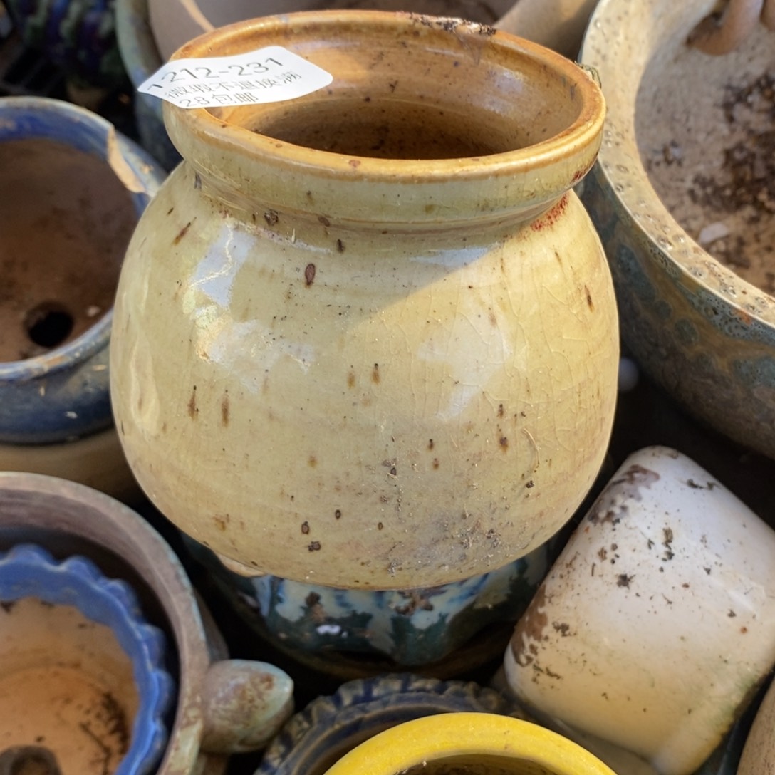 231号多肉盆口径7