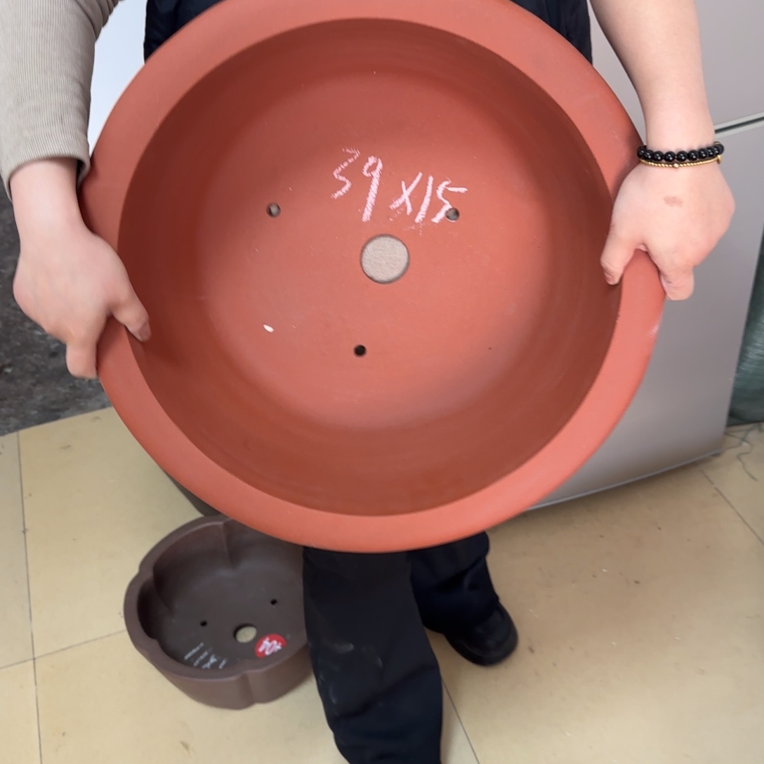 紫砂花盆呜呜呜呜