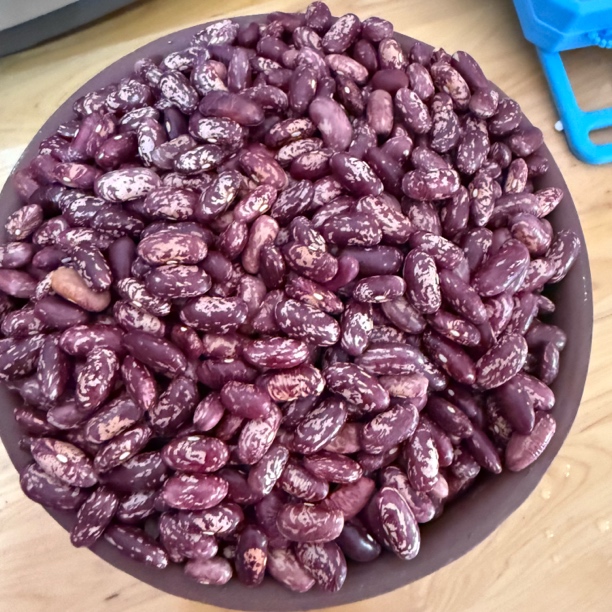 云南镇雄豆米新花豆云豆紫花芸豆营养饱满