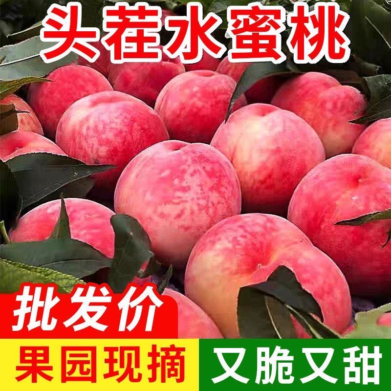 突围水蜜桃脆软两吃水蜜桃高山现摘应季新鲜脆桃时令水果季整箱