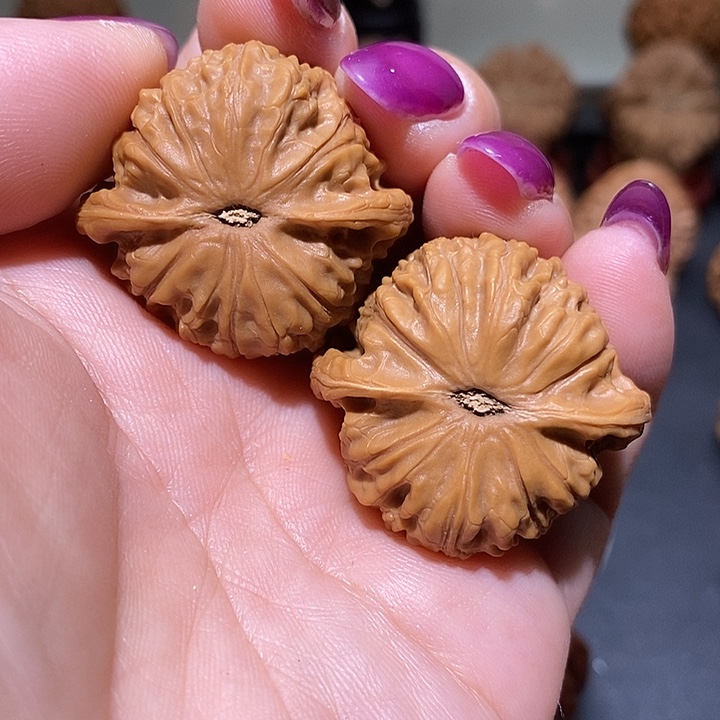 把件文玩核桃34野狮子王手捻