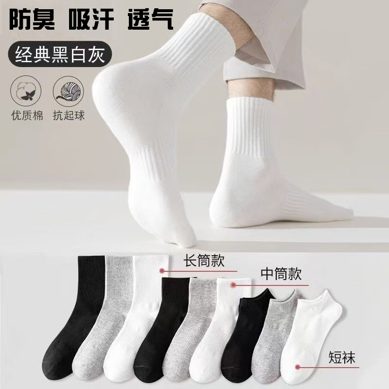 新疆包邮【新疆棉】四季袜男女短中长筒纯色棉袜吸汗透气防臭运动袜
