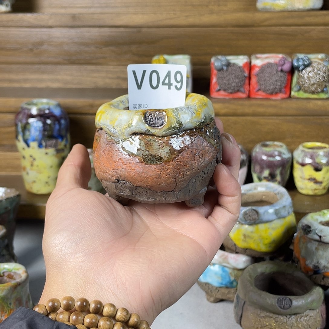 坛子姐多肉花盆内口4