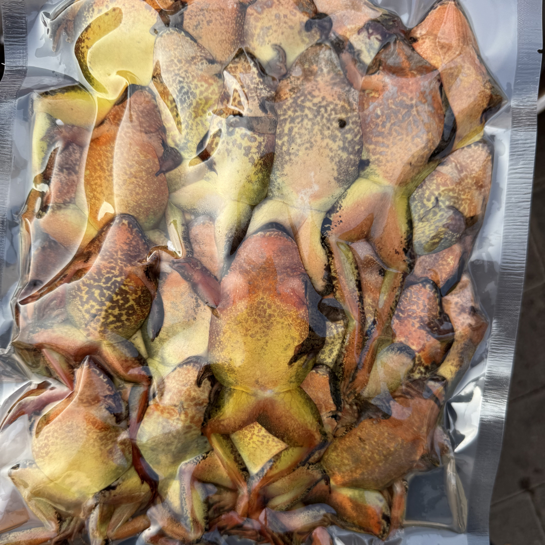 缺氧林蛙母河鲜顺丰包邮送东北大酱 