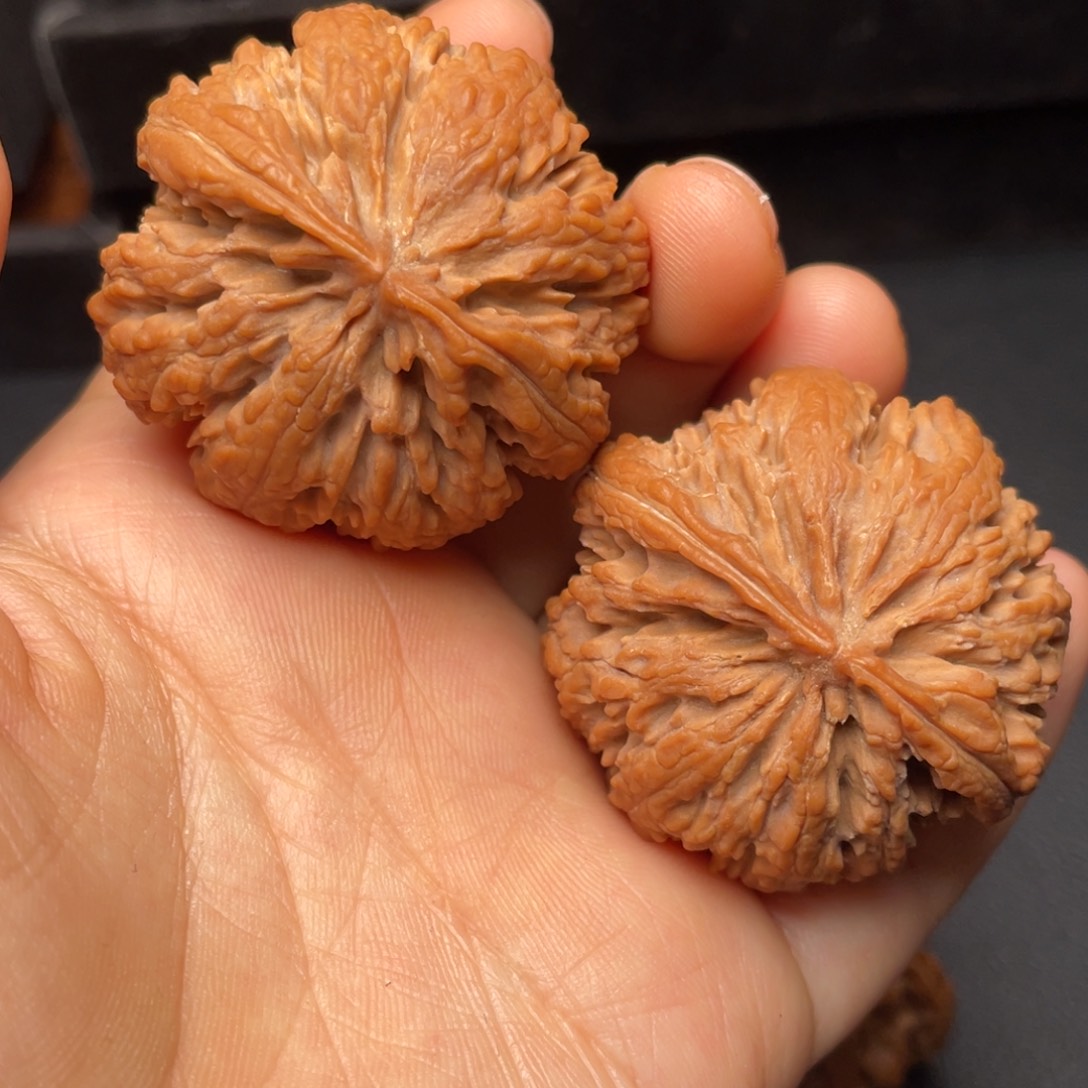 文玩核桃把件秦岭山脉核桃