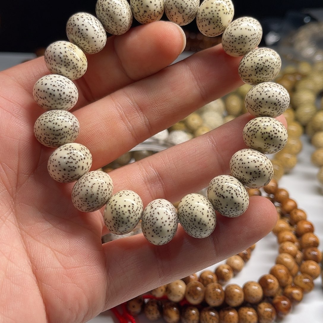 星月菩提吊坠15/12老料原生态同枝