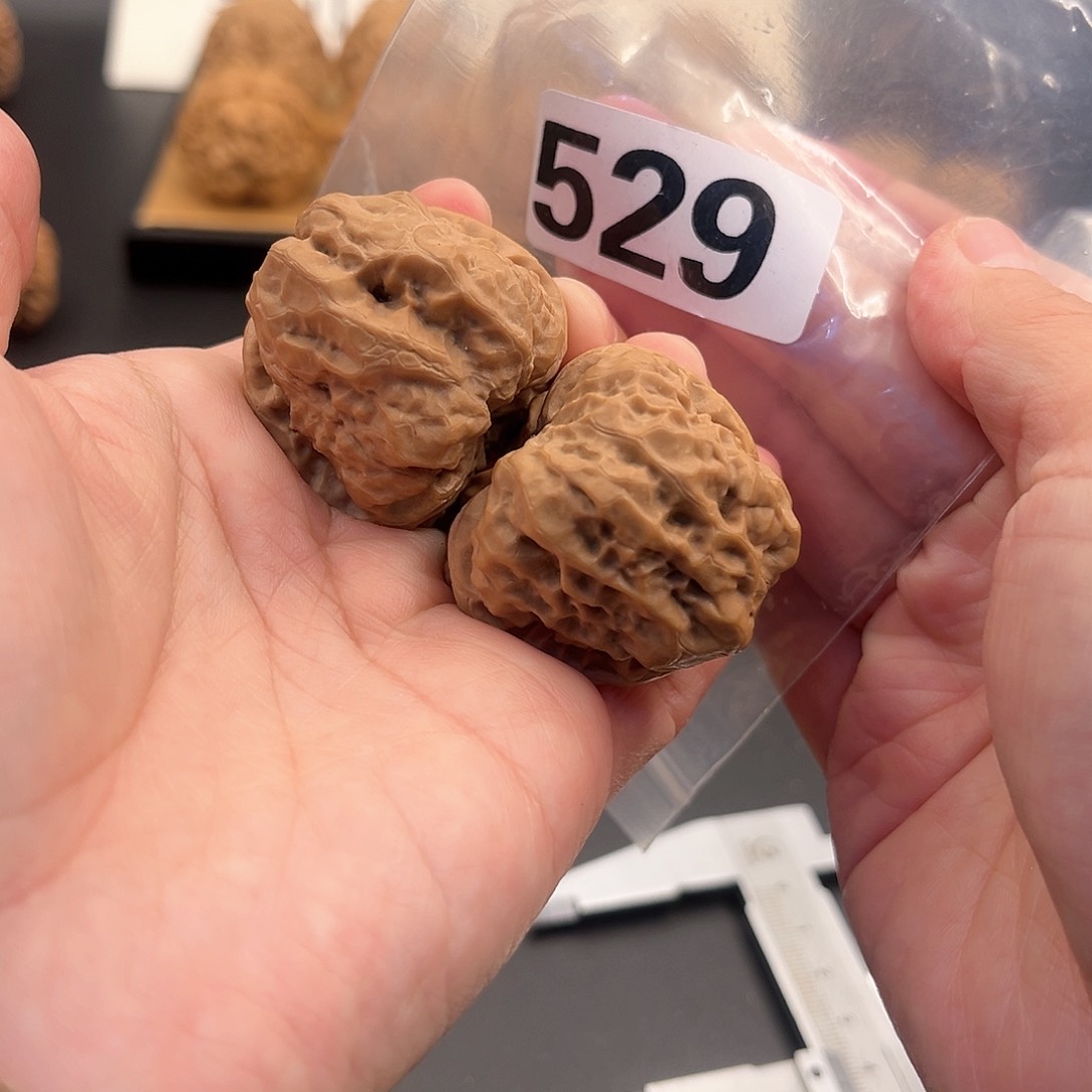 桃核吊坠.*蛙蛙精品37