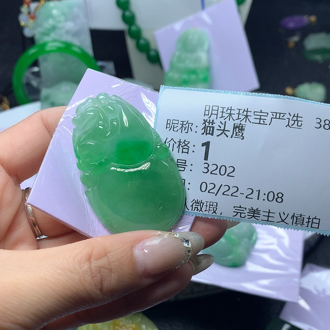 翡翠吊坠(赠链)未镶嵌猫*鹰
