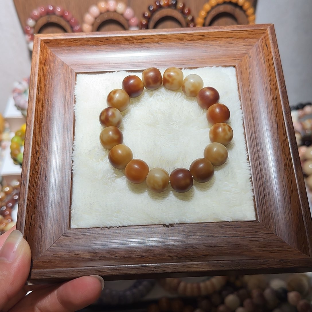 梁***梁手串菩提根/象牙果