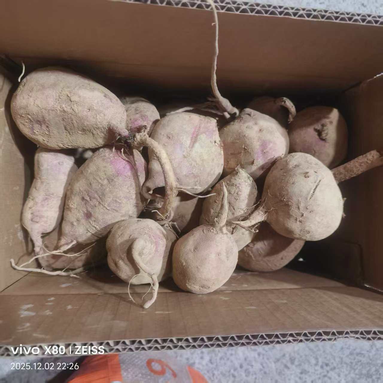 贵州高坡红皮黄心板栗红薯