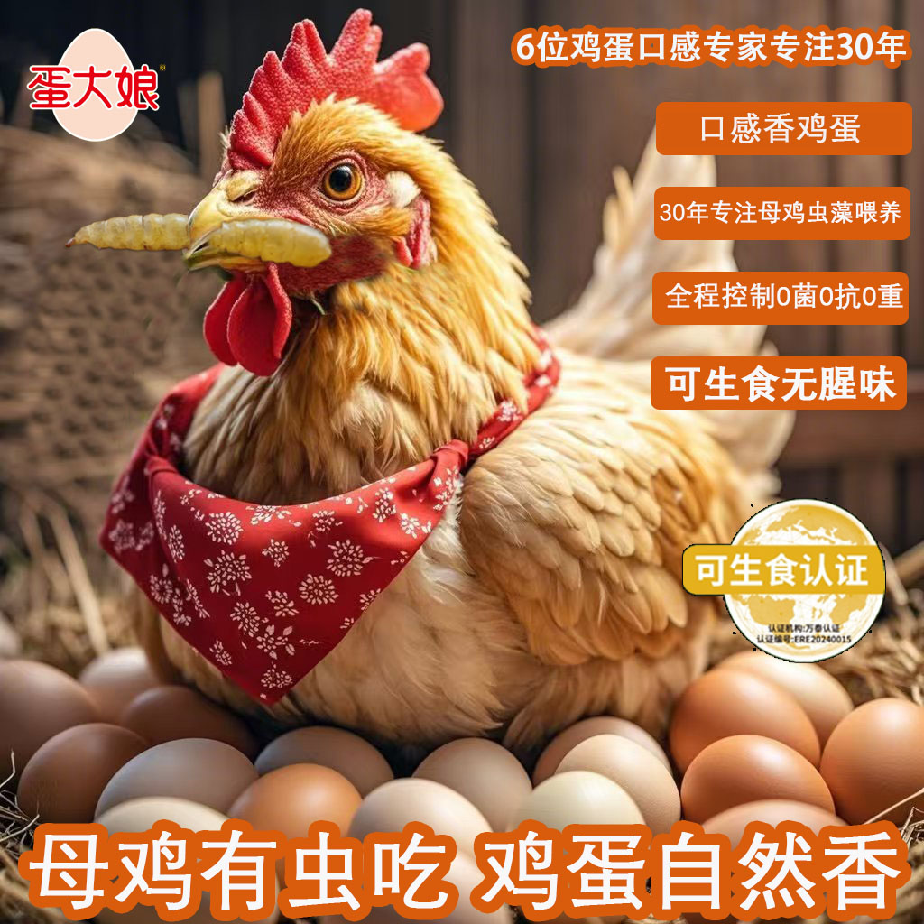 送一只老母鸡6箱30枚虫藻可生食无菌鸡蛋