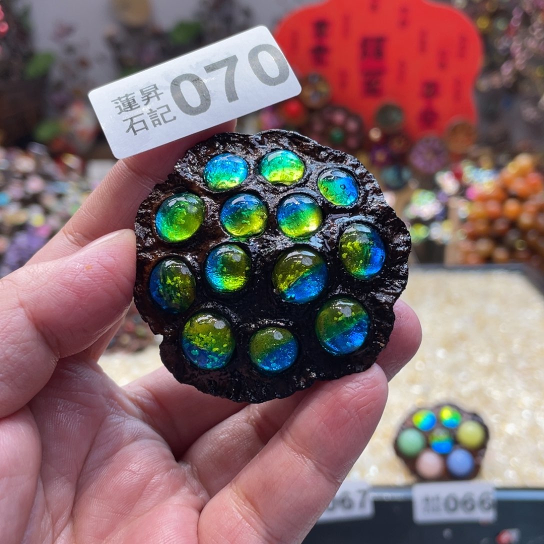 核桃木/黑胡桃（胡桃木）070孔雀夜光