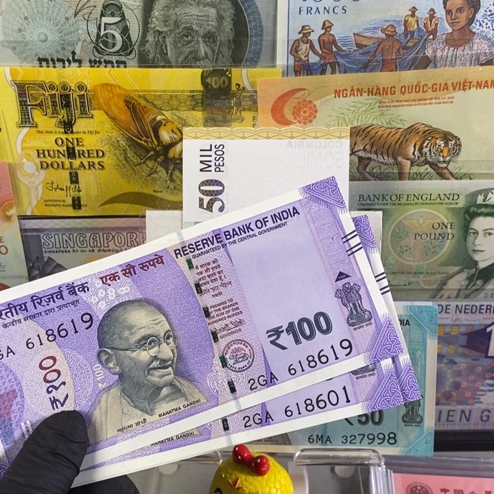 纸币小*坨印度100 尾号619