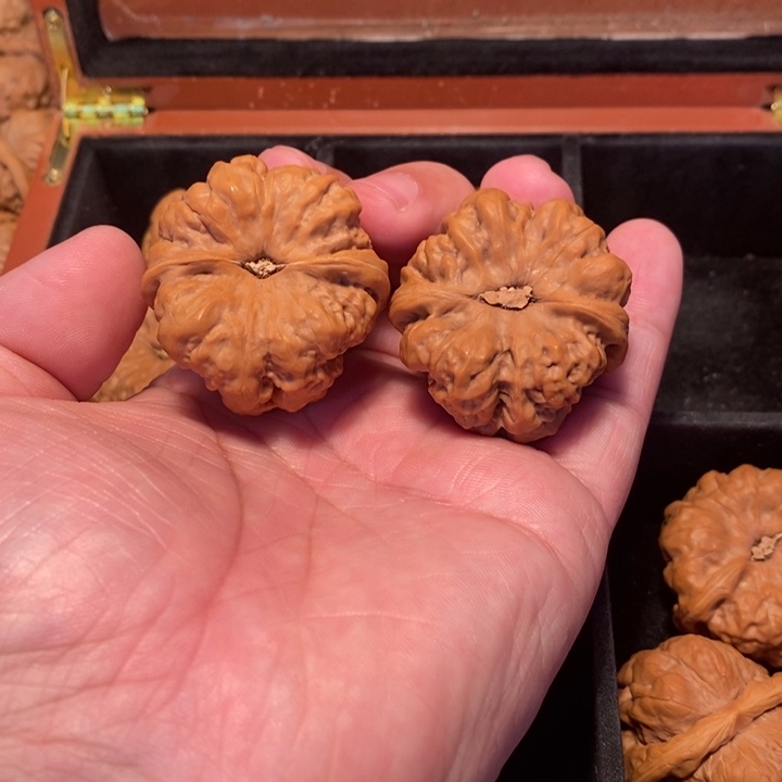 文玩核桃吊坠T*y000000280