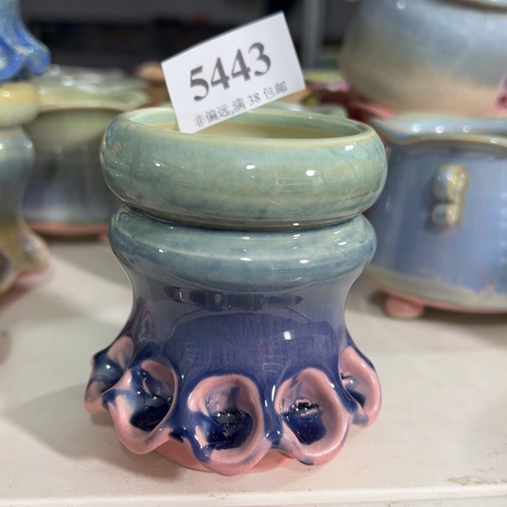 口6 ……手工花盆30元包邮